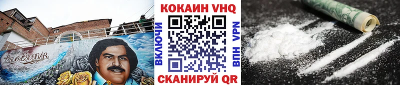 Cocaine FishScale  Купить закладки  Боготол 