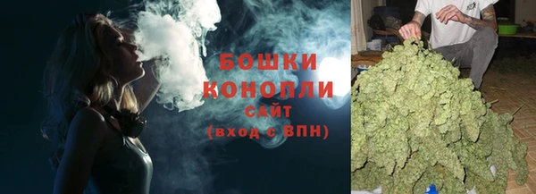 прущие грибы Арсеньев