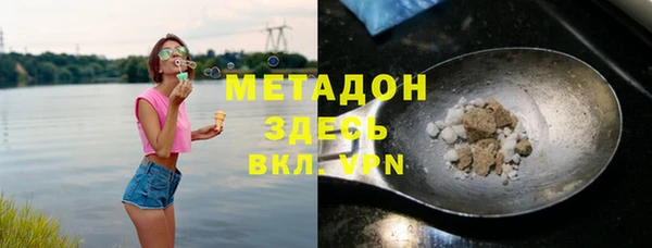 прущие грибы Арсеньев