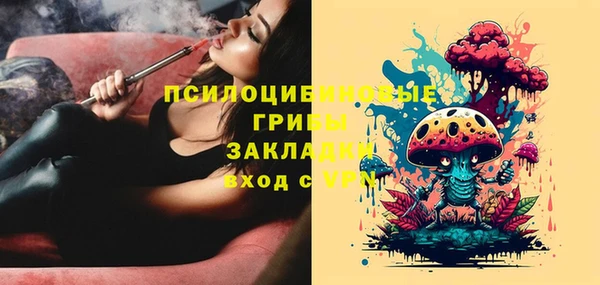 прущие грибы Арсеньев