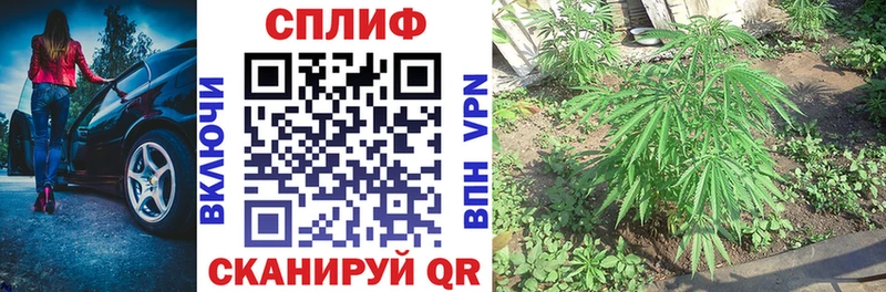 Купить где  Боготол  МАРИХУАНА гибрид 